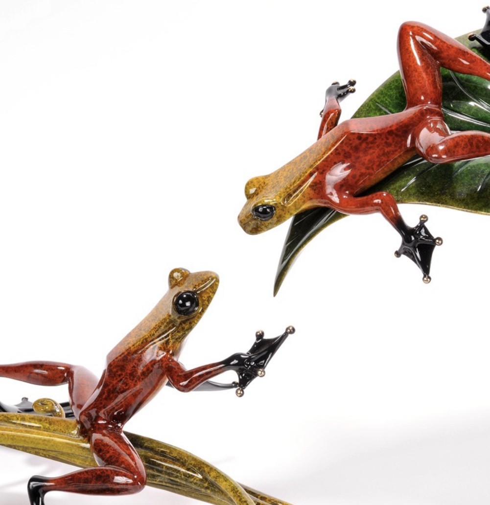 Meet Tim Cotterill The Frogman | Westover Gallery