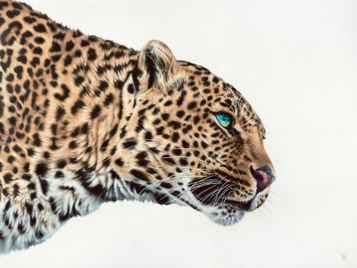 Emerald | Original Oil | Olivia Willoughby image