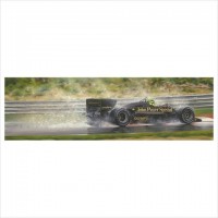Senna image