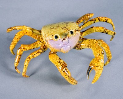 Ghost Crab (Yellow) | Brian Arthur - Available image