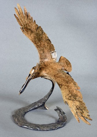 Open Wing Pelican | Brian Arthur image