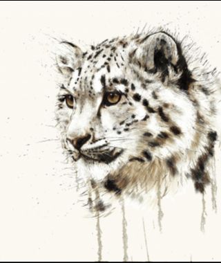Snow Leopard image