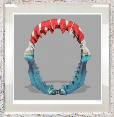 Jaws | Monica Vincent image