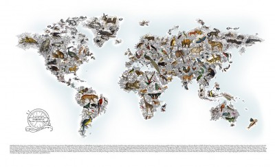 Alexandra Jardine World Map | Kristjana S Williams image