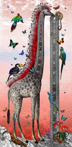 The Mohawk Giraffe | Kristjana S Williams image