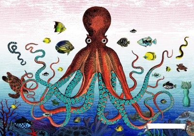 The Great Barrier Reef - Giant Octopus | Kristjana Williams image