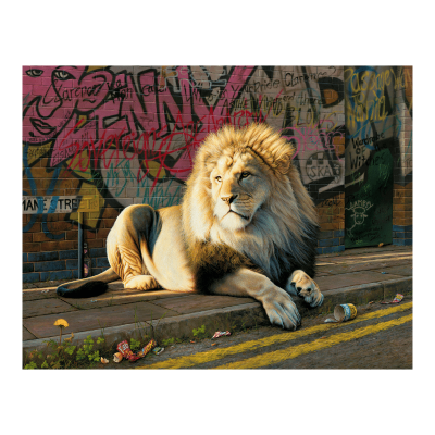 King Of The Road | Limited Edition Various | Paul James  image