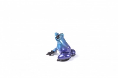 Sapphire - UK Show Frog image