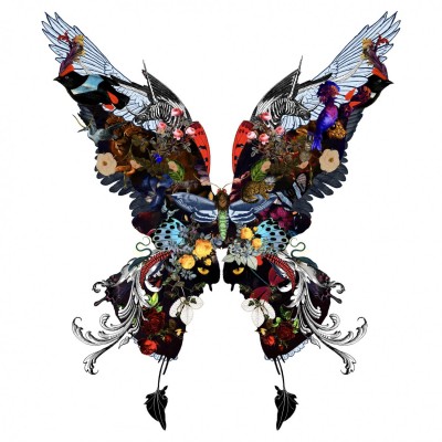 The Voyager Butterfly | Kristjana S Williams image