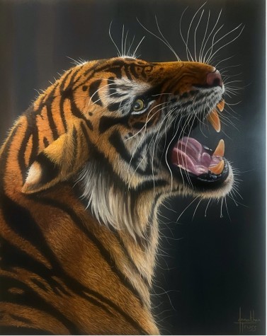 Tigress | Jonathan Truss  image