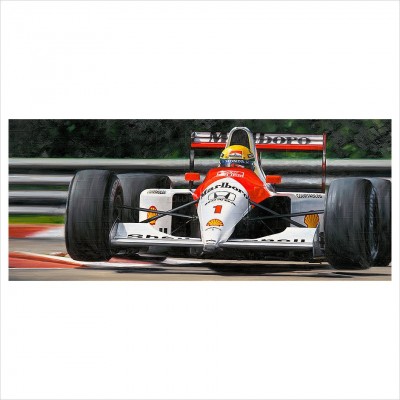 Title Defence Senna '91 image