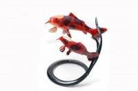 Two Koi’s On A Reef image