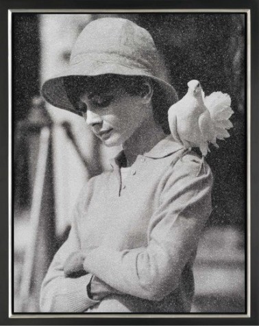 Hepburn with Dove image