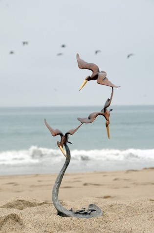 California Diving Pelicans | Brian Arthur image