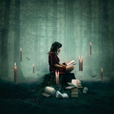 Forbidden Forest | Harry Potter | Michelle Mackie image