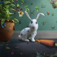 Mr Rabbit | Stephen Hanson image